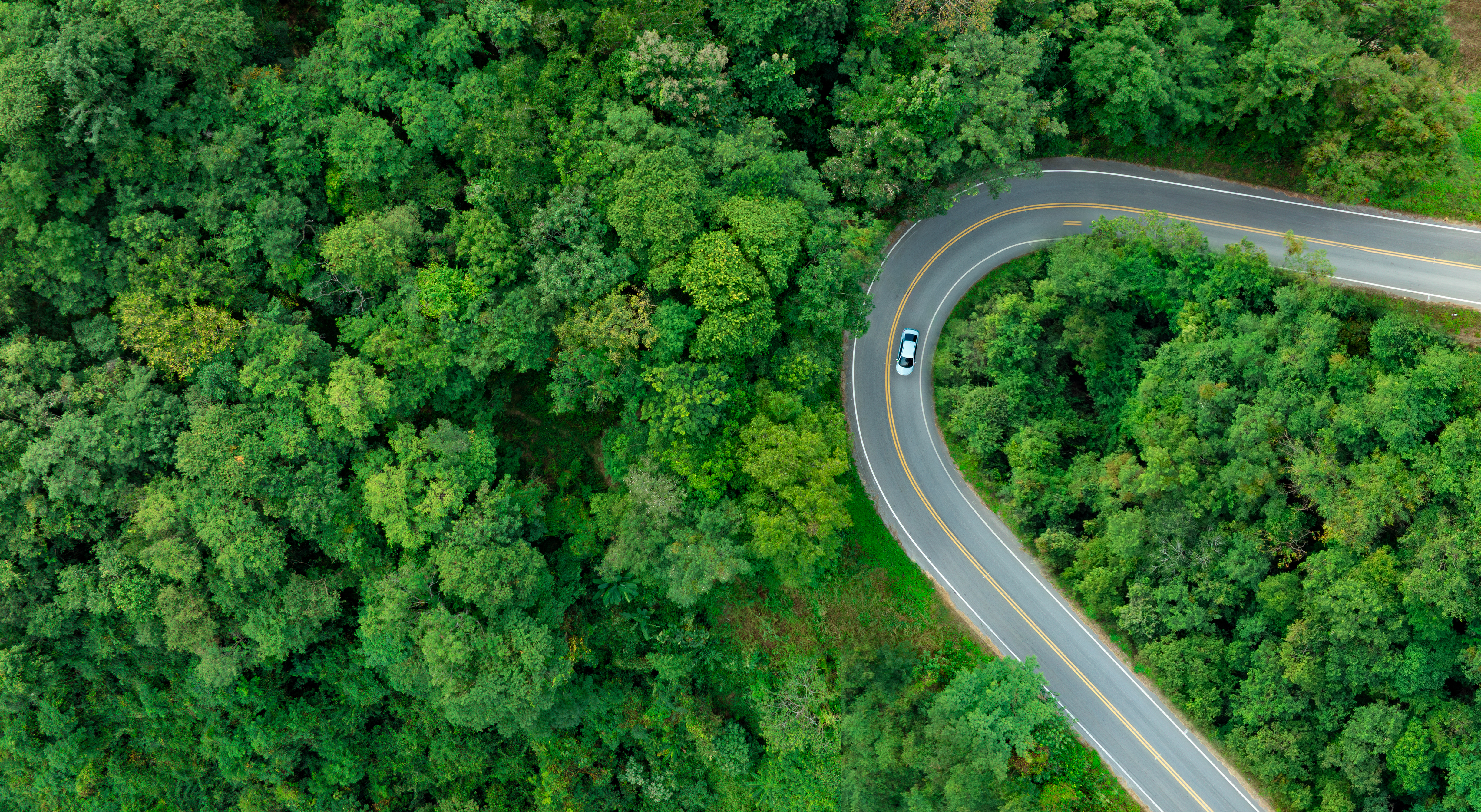 aerial view of a road surrounded by trees