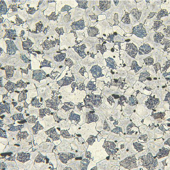 Dual Phase Microstructure after heat treatment